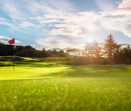 A golf course on a sunny day, with a red flag to the left of the frame.